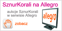 Aukcje z biżuterią srebrną SznurKorali na allegro
